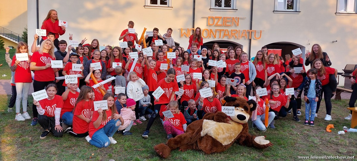 Dzień Wolontariatu 2020