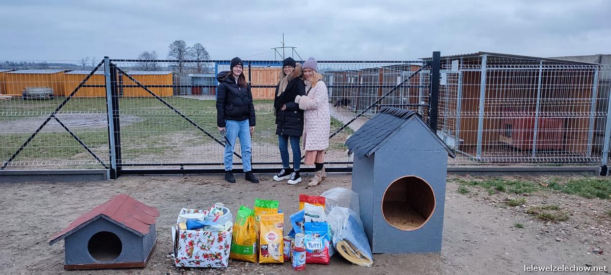 Wizyta w schronisku dla zwierząt