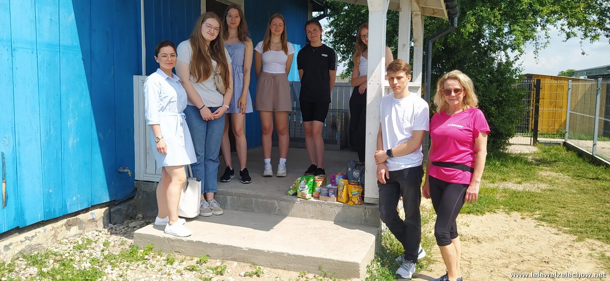 Wizyta w schronisku dla psów