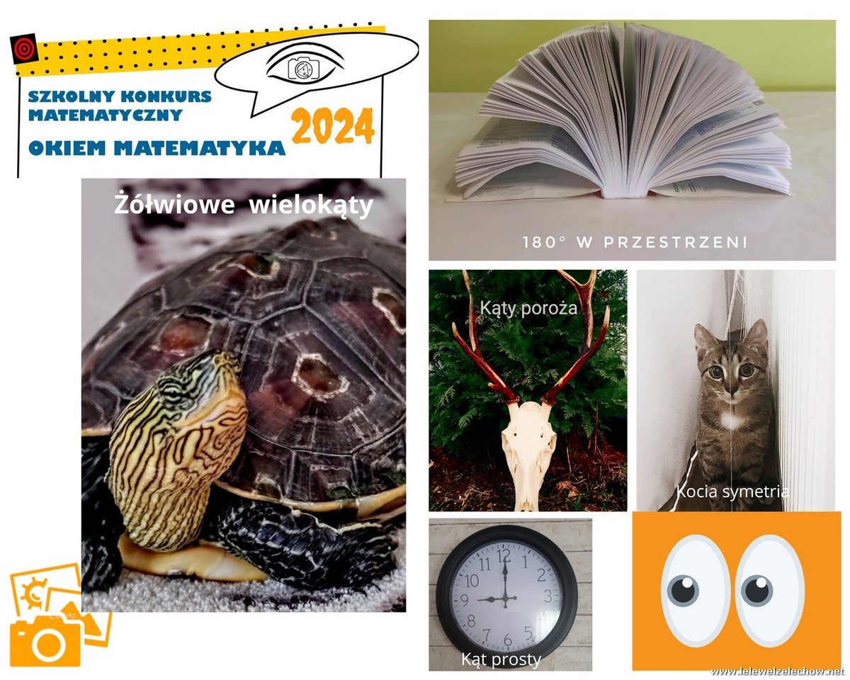 Rozstrzygnięcie konkursu "Okiem matematyka"
