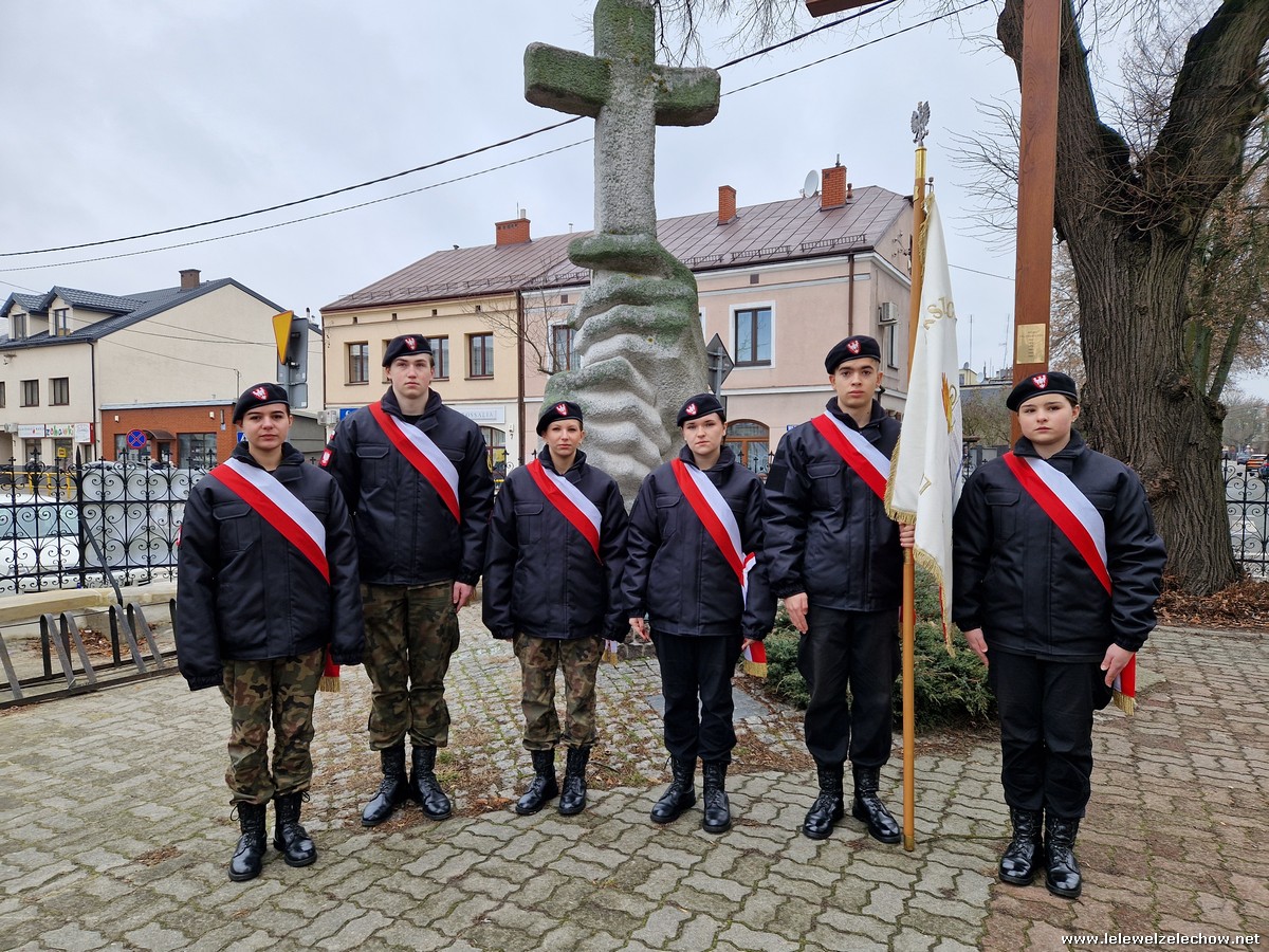 Uroczystości powiatowe z okazji NDPŻW w Garwolinie